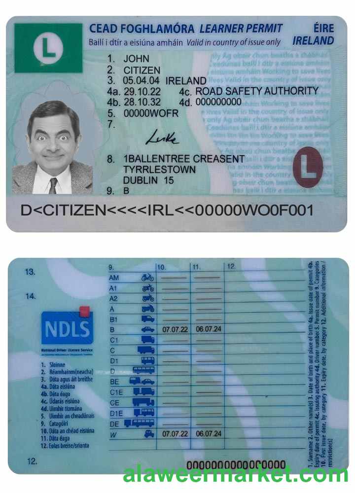 IRELAND driving license (learner permit) 2022- present